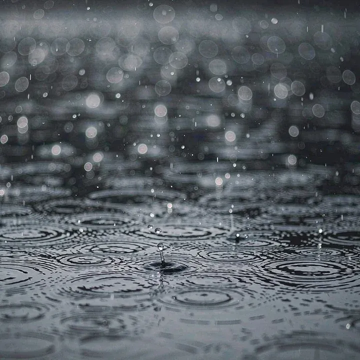 Rain